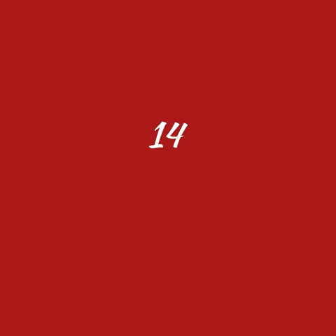 SEAT 14