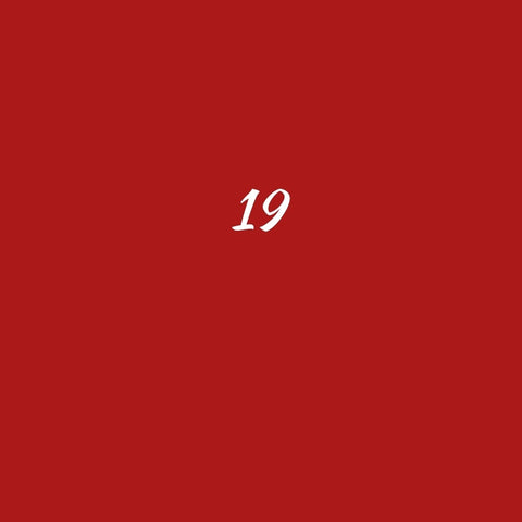 SEAT 19