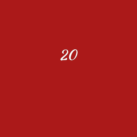SEAT 20
