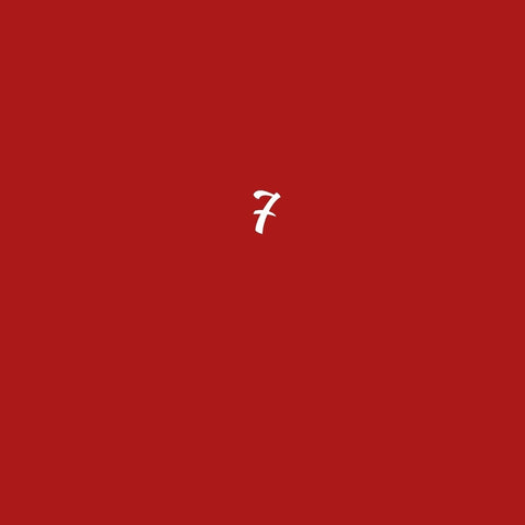 SEAT 7