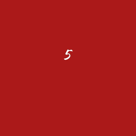 SEAT 5