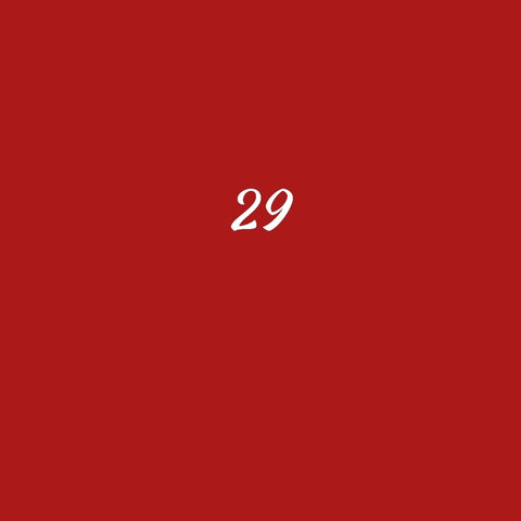 SEAT 29
